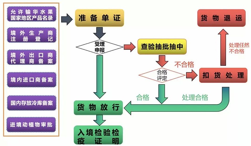 水果进口报关